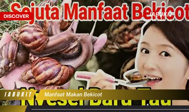 manfaat makan bekicot