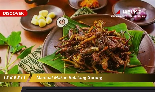 manfaat makan belalang goreng manfaat makan belalang goreng