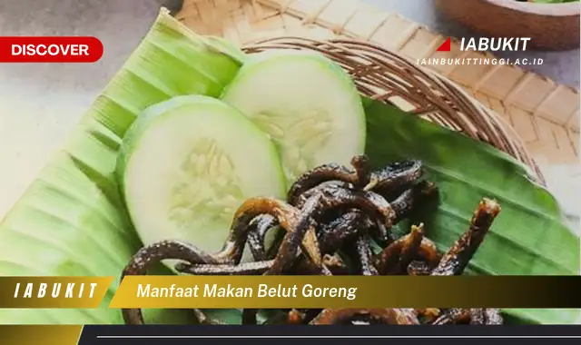 manfaat makan belut goreng