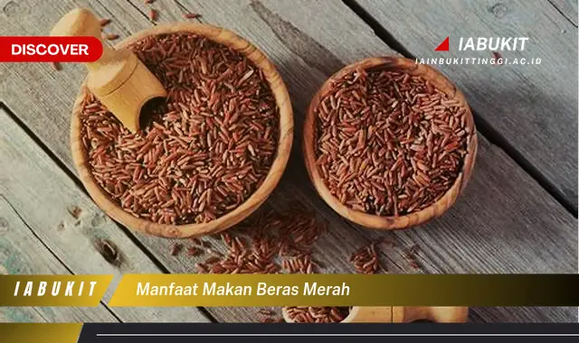 manfaat makan beras merah