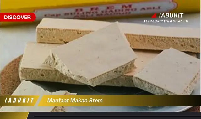 manfaat makan brem