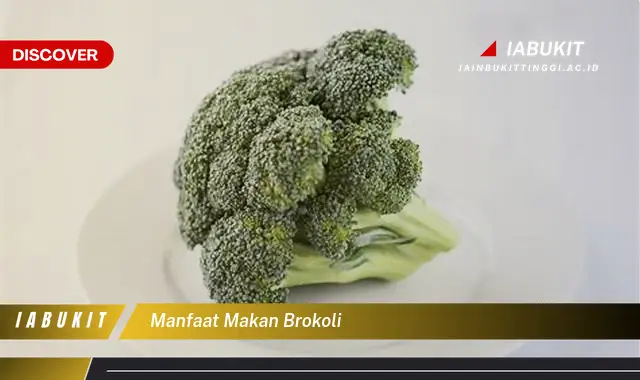 manfaat makan brokoli