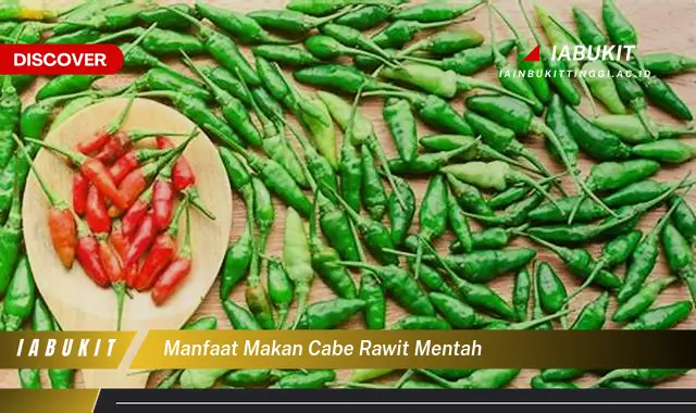 manfaat makan cabe rawit mentah