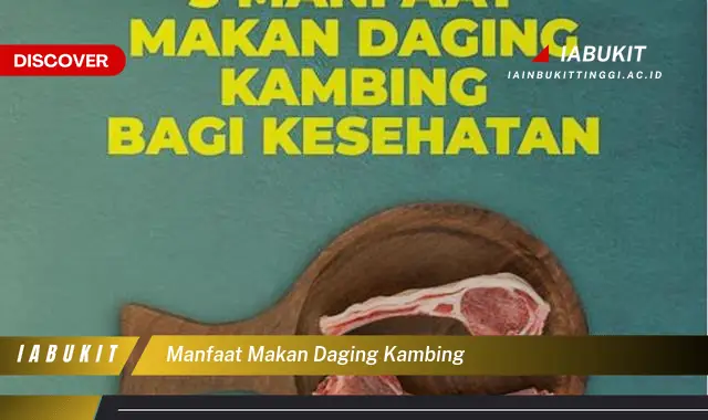 manfaat makan daging kambing