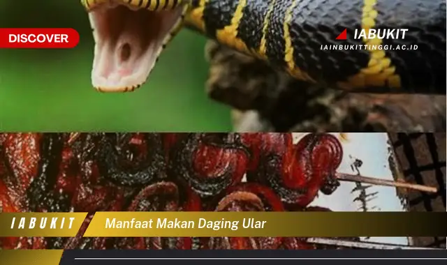 manfaat makan daging ular