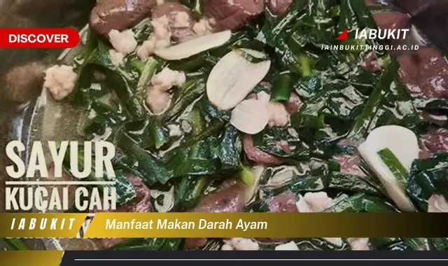 manfaat makan darah ayam