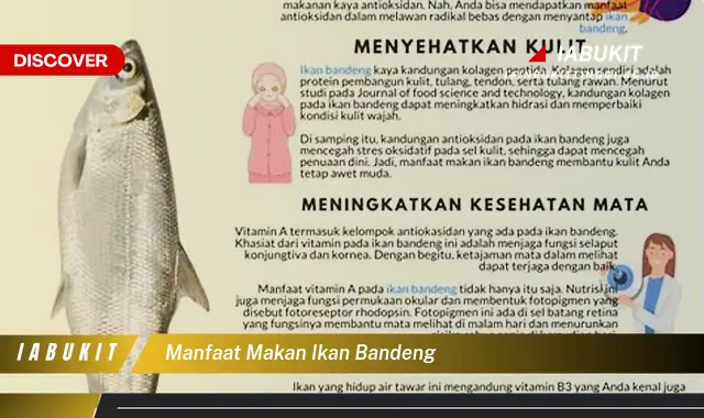 manfaat makan ikan bandeng