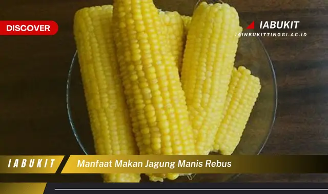 manfaat makan jagung manis rebus