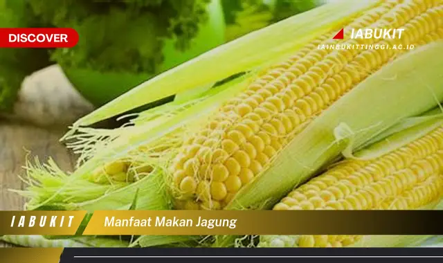 manfaat makan jagung