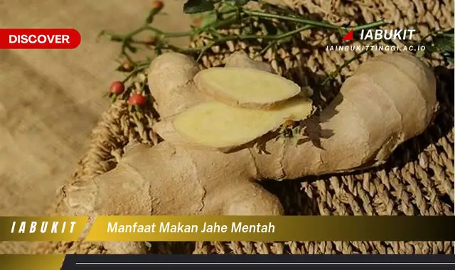 manfaat makan jahe mentah