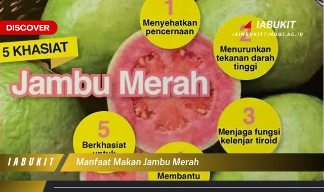 manfaat makan jambu merah