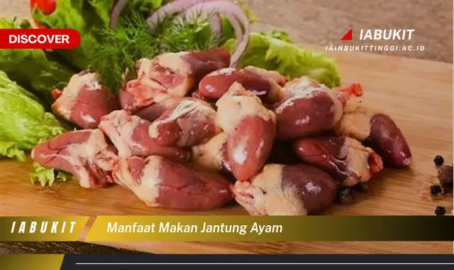 manfaat makan jantung ayam