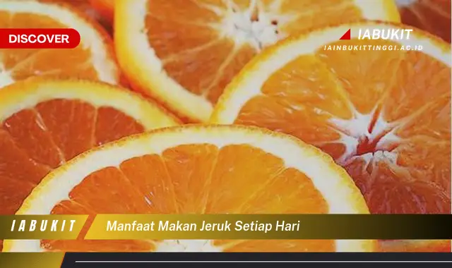 manfaat makan jeruk setiap hari manfaat makan jeruk setiap hari