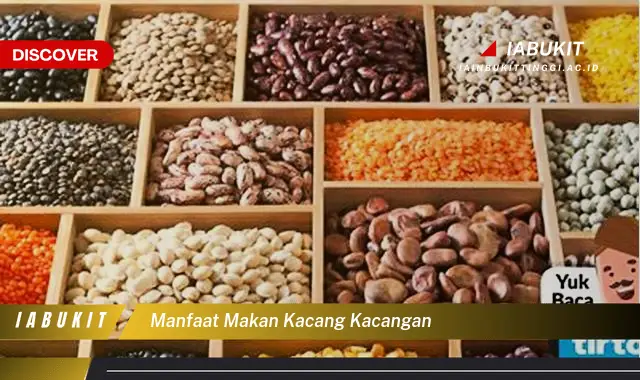 manfaat makan kacang kacangan