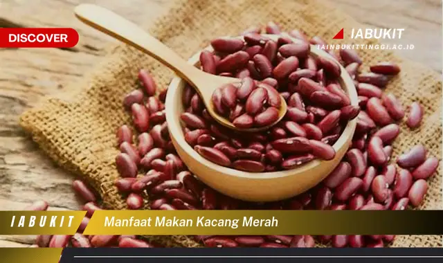 manfaat makan kacang merah