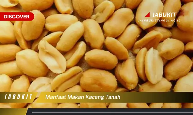 manfaat makan kacang tanah