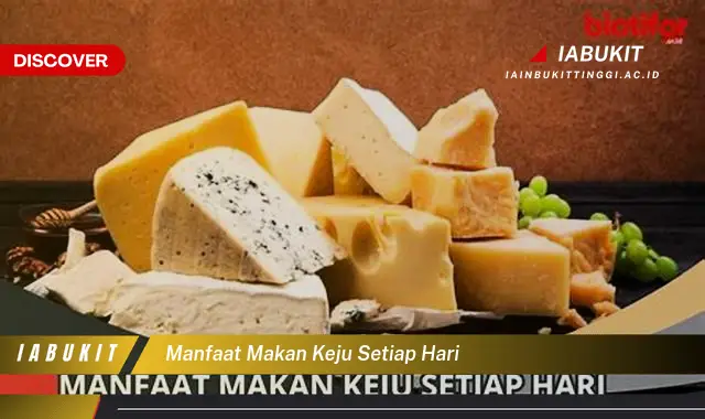 manfaat makan keju setiap hari