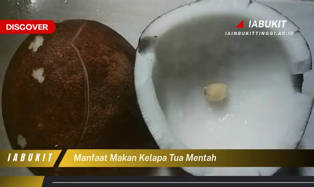 manfaat makan kelapa tua mentah