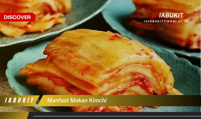 manfaat makan kimchi