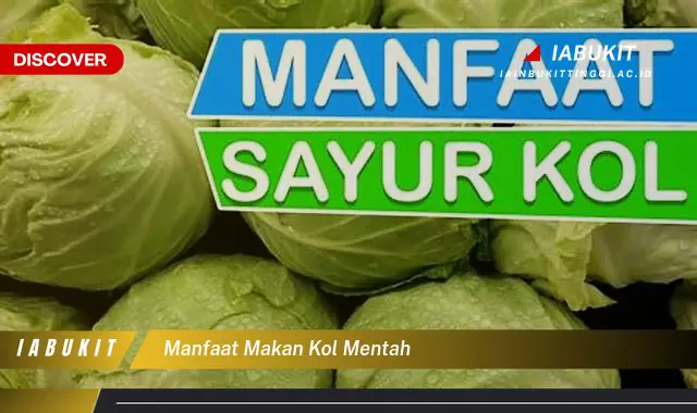 manfaat makan kol mentah