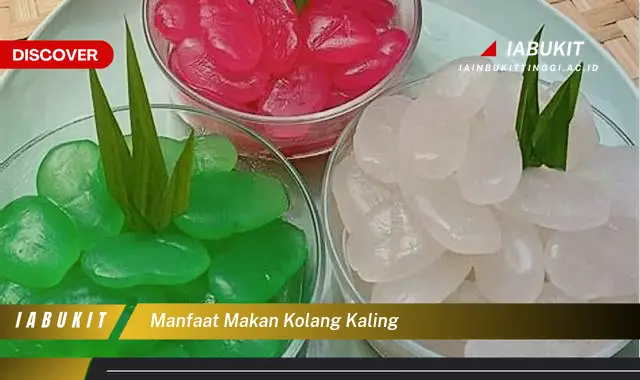 manfaat makan kolang kaling