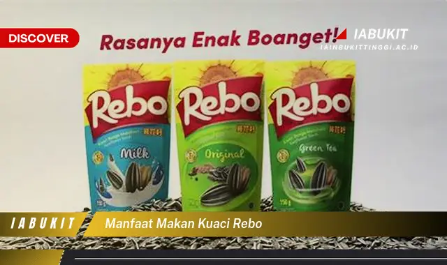 manfaat makan kuaci rebo