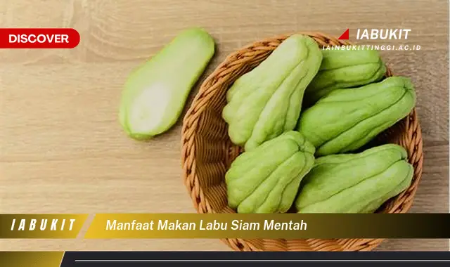 manfaat makan labu siam mentah