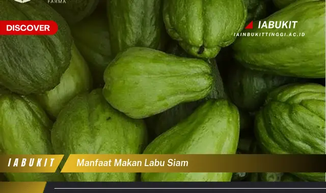 manfaat makan labu siam