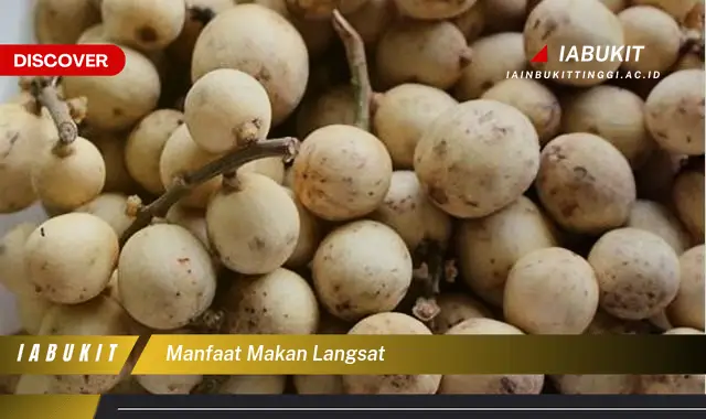 manfaat makan langsat