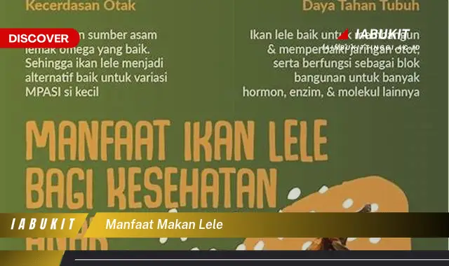 manfaat makan lele