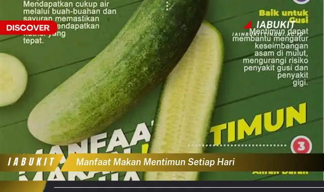 manfaat makan mentimun setiap hari manfaat makan mentimun setiap hari