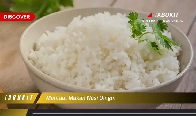 manfaat makan nasi dingin