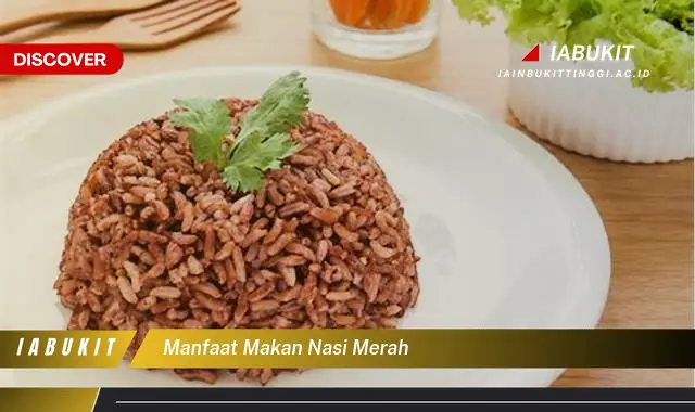 manfaat makan nasi merah