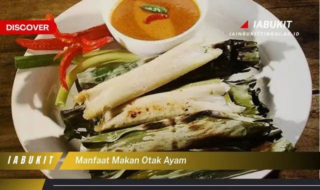 manfaat makan otak ayam