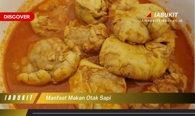 manfaat makan otak sapi manfaat makan otak sapi