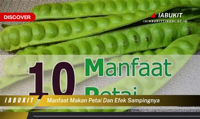 manfaat makan petai dan efek sampingnya