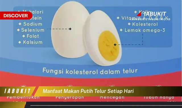 manfaat makan putih telur setiap hari