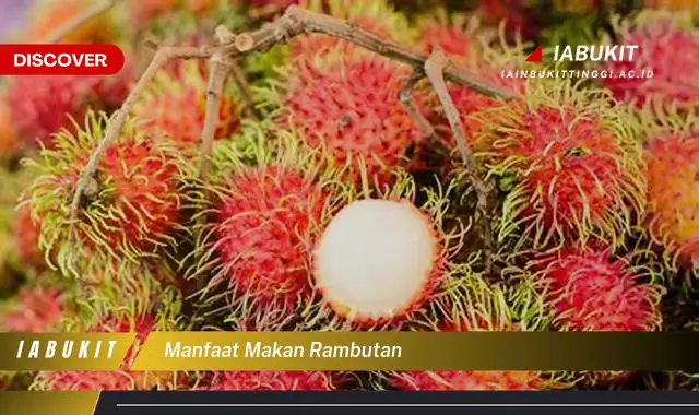 manfaat makan rambutan