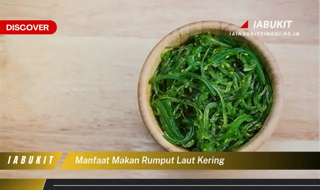 manfaat makan rumput laut kering