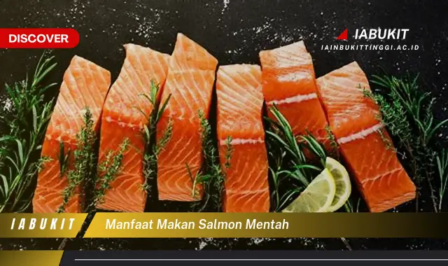 manfaat makan salmon mentah