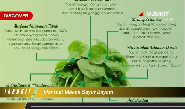 manfaat makan sayur bayam