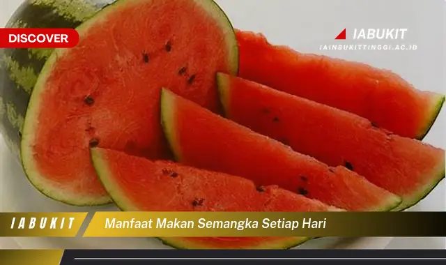 manfaat makan semangka setiap hari