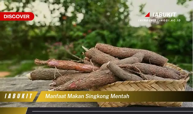 manfaat makan singkong mentah