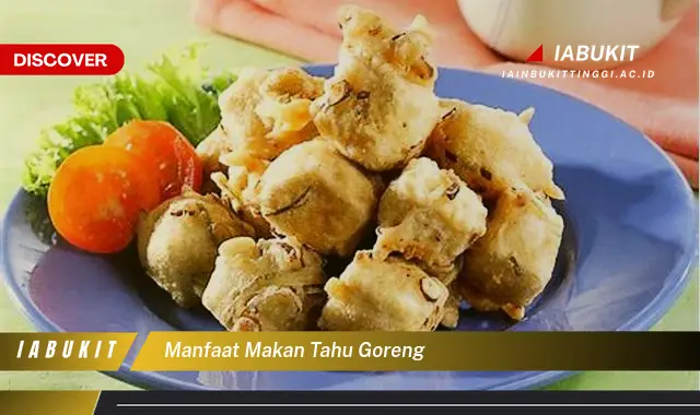 manfaat makan tahu goreng