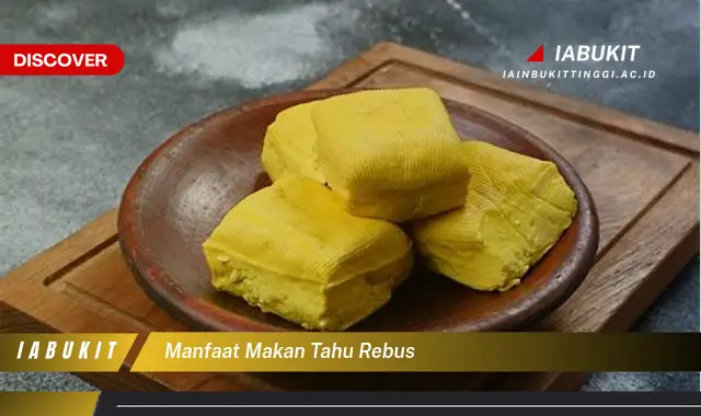 manfaat makan tahu rebus