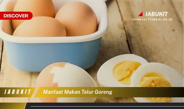 manfaat makan telur goreng