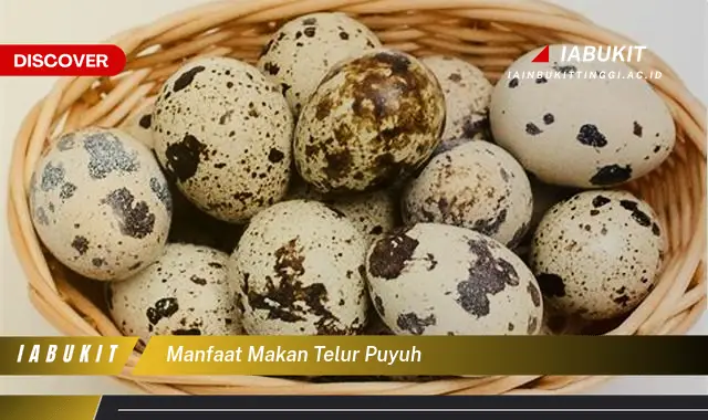 manfaat makan telur puyuh