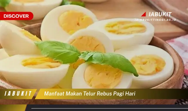 manfaat makan telur rebus pagi hari