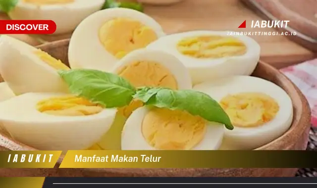 manfaat makan telur