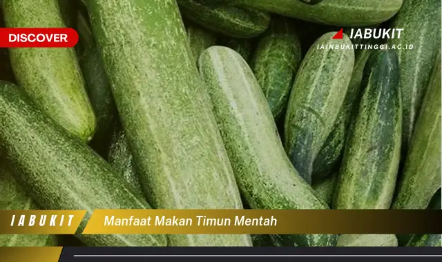 manfaat makan timun mentah manfaat makan timun mentah